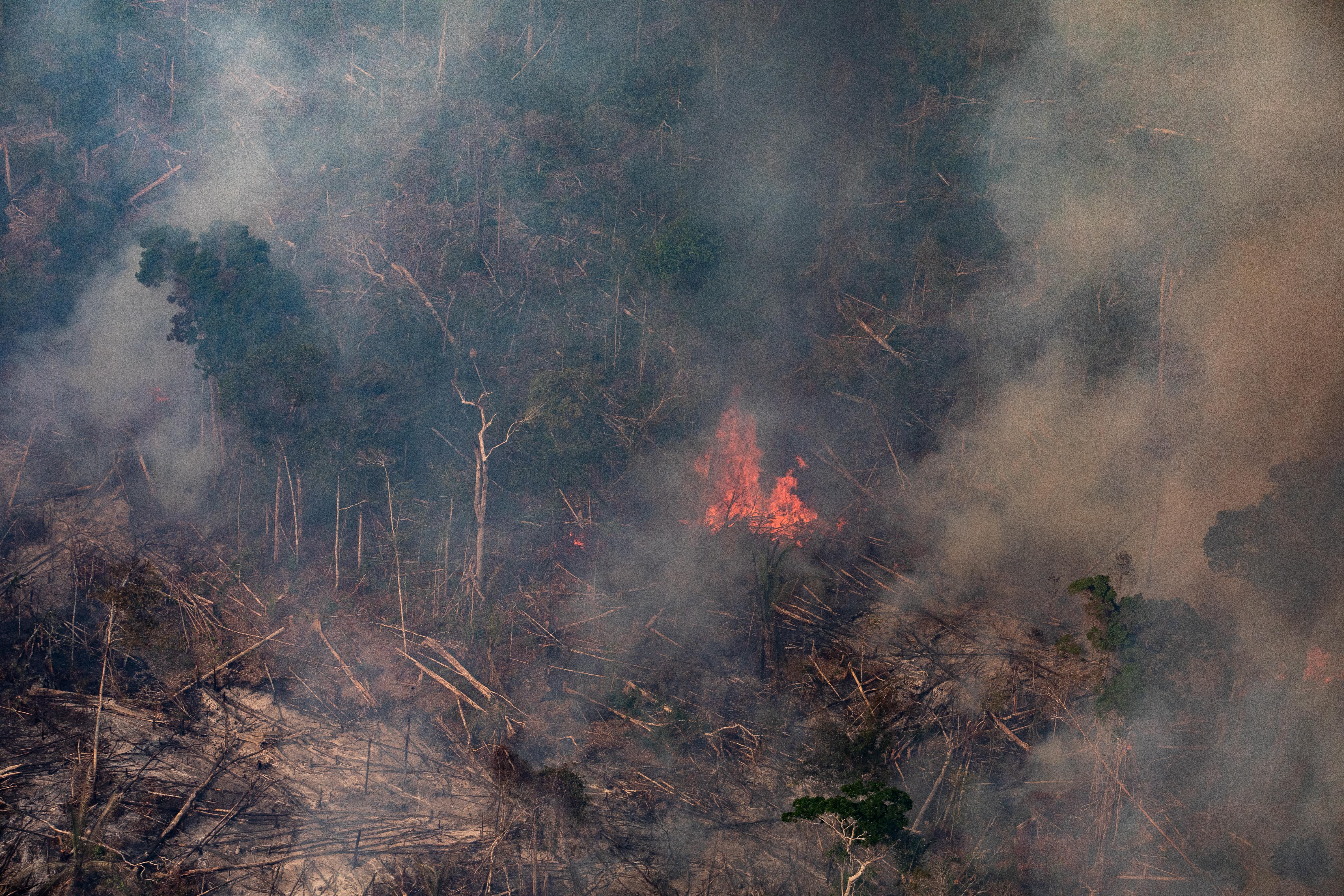 Forest fire mk ii. Пожар в лесу. Пожары в Амазонке. Вотки пожаров в амазонских лесах. Тропические леса Австралии горят.