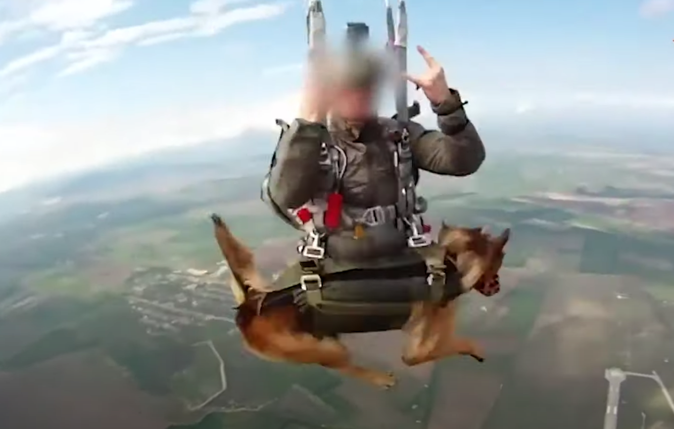 WATCH: Russian Military Training Skydiving Dogs - News & Guts Media